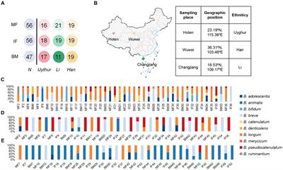 Genetic specialization of key bifidobacterial phylotypes in multiple mother–infant dyad cohorts from geographically isolated populations